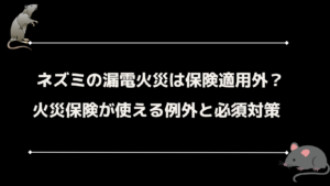 ネズミの漏電火災は保険適用外？火災保険が使える例外と必須対策
